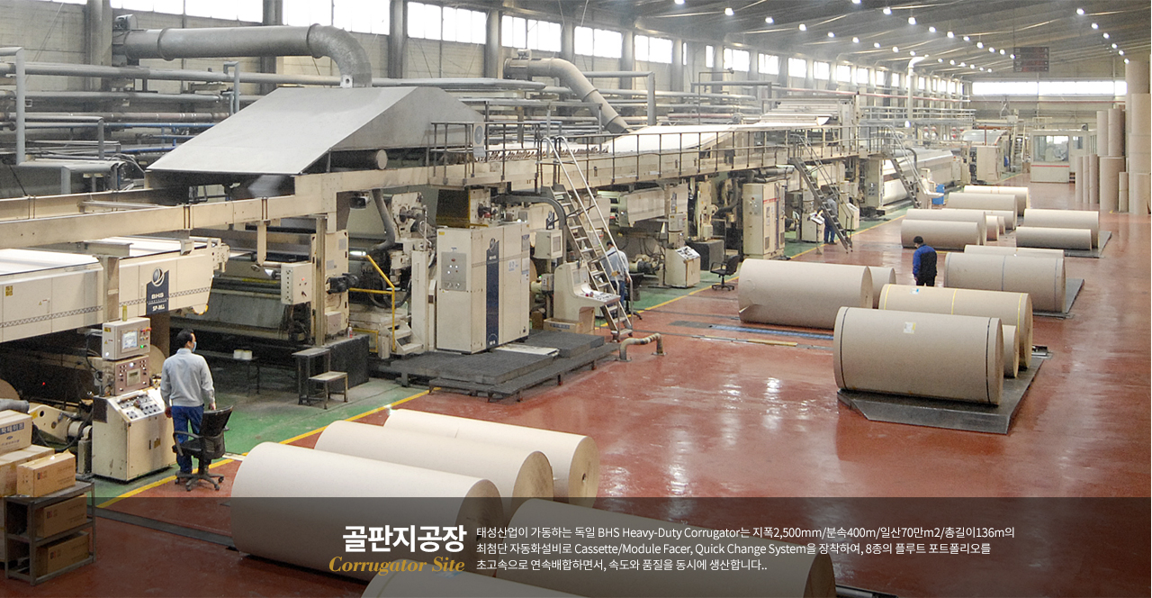 상자가공 Box Converting Site Flexo Folder Gluer (6 units) 베큠트랜스퍼와 닥터롤시스템 장착으로 210매쉬의 선명한 정밀인쇄. 
		소형택배용 미니박스(0618) 대형냉장고용 점보박스(2548)까지 사이즈별로 전용화. Production Capacity: 240 million boxes/y.